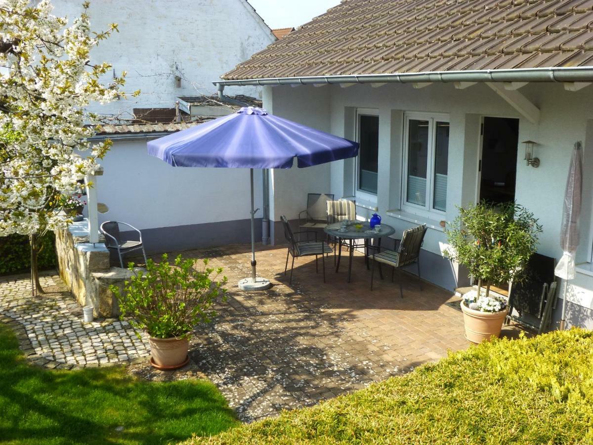 Billigheim-Ingenheim Ferienwohnung Kirschbluete מראה חיצוני תמונה